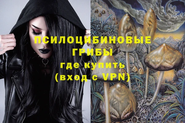 гидра Аркадак