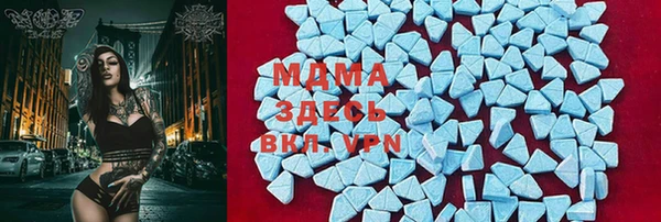 гидра Аркадак