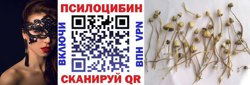Псилоцибиновые грибы мицелий  Реутов 